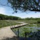 Maplewood Nature Center