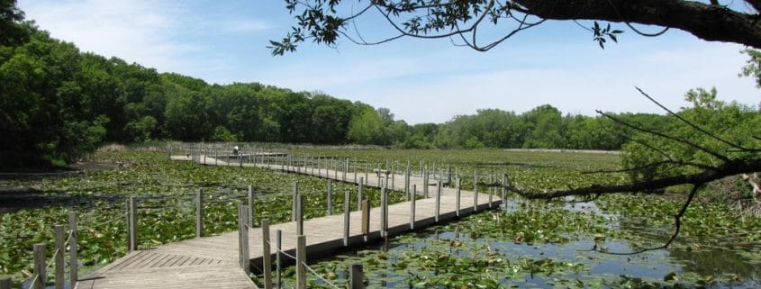 Maplewood Nature Center