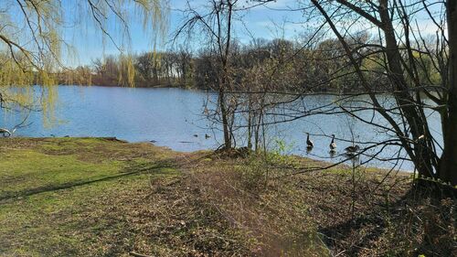 Langton Lake Park