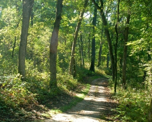 Lebanon Hills Regional Park