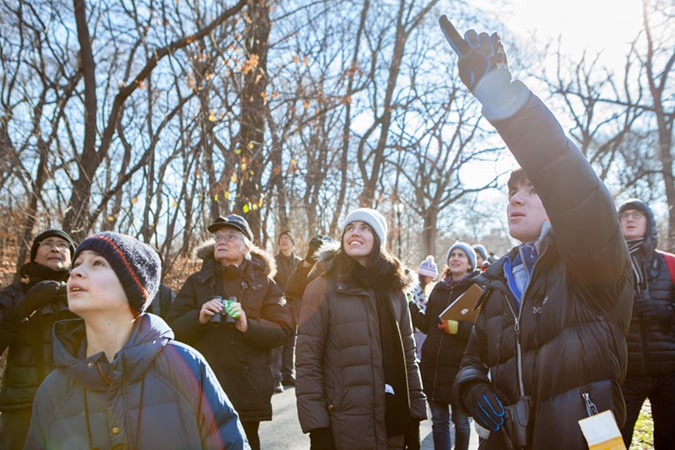 Christmas Bird Count